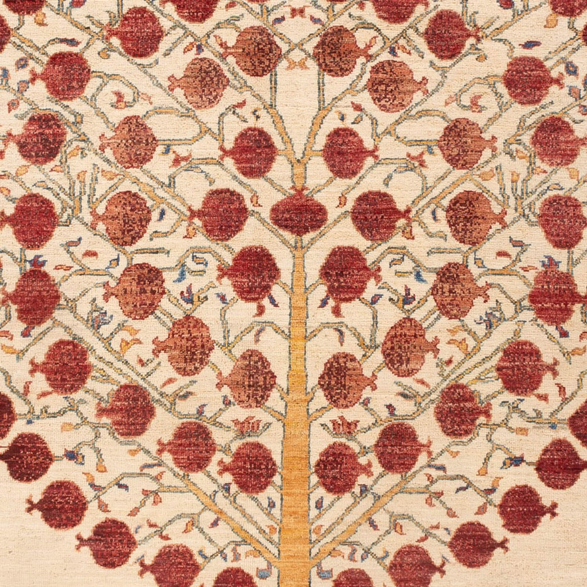 Dywan Ziegler - Ariana - 235 x 171 cm - jasny beż