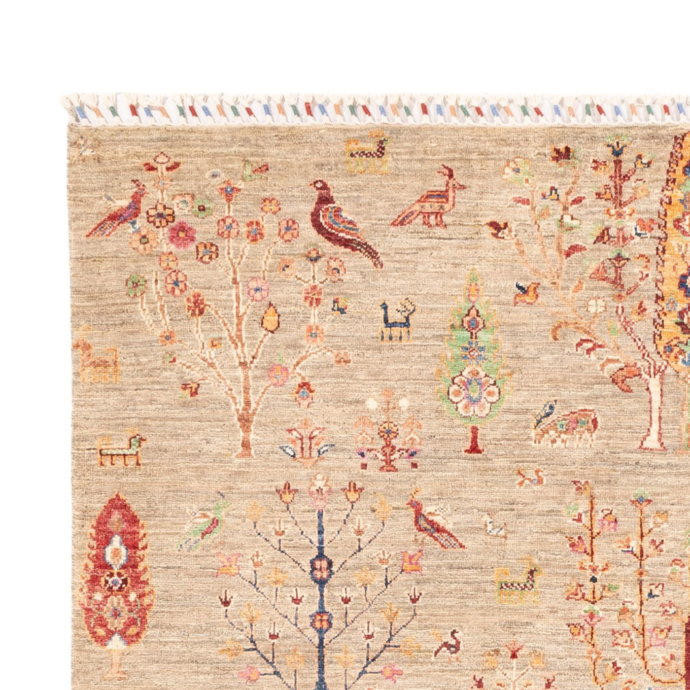 Ariana Dywan 242x169cm - Dywan orientalny