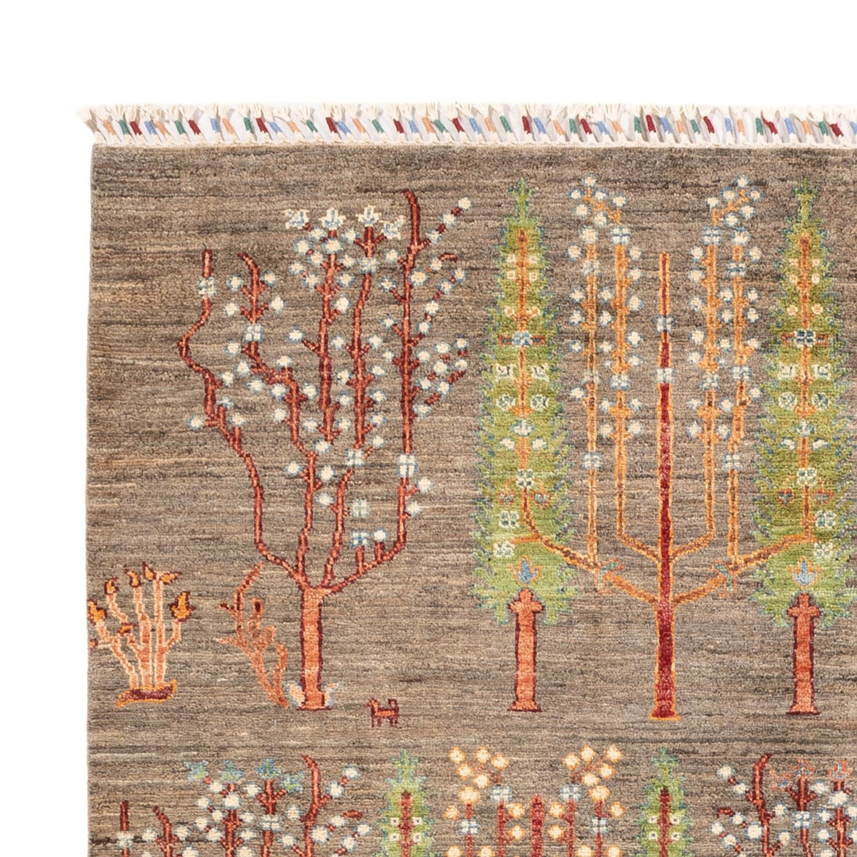 Dywan Ziegler - Ariana - 232 x 169 cm - ciemny beż