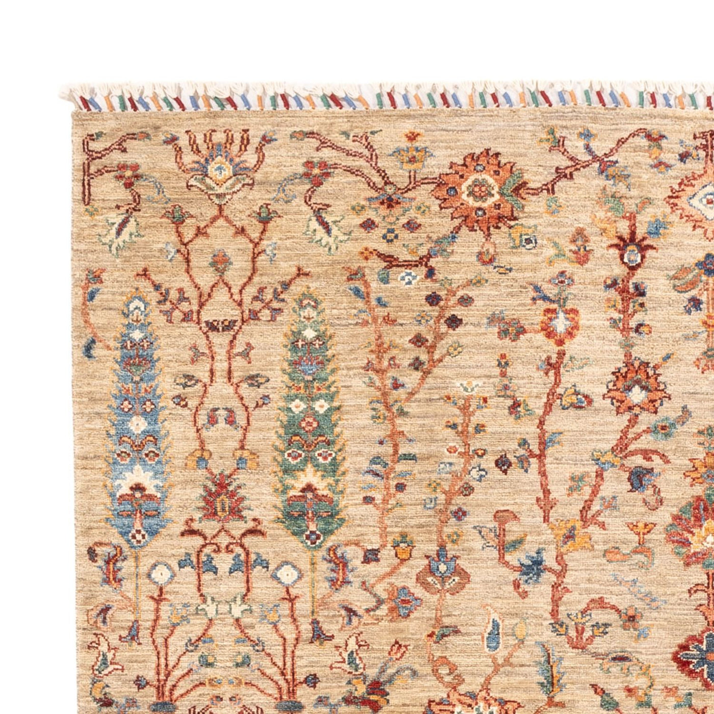 Ariana Dywan 233x168cm - Dywan orientalny