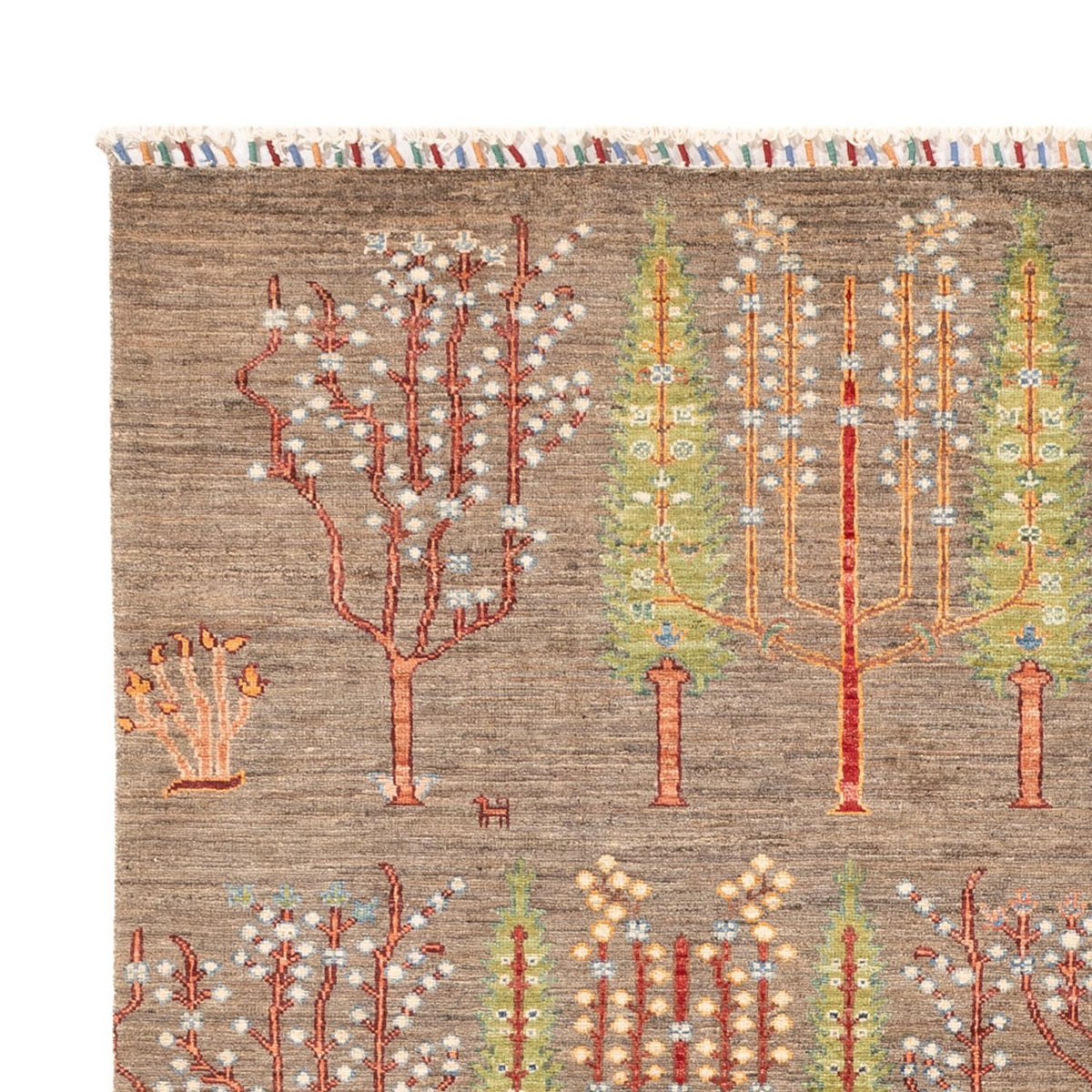 Dywan Ziegler - Ariana - 239 x 170 cm - ciemny beż