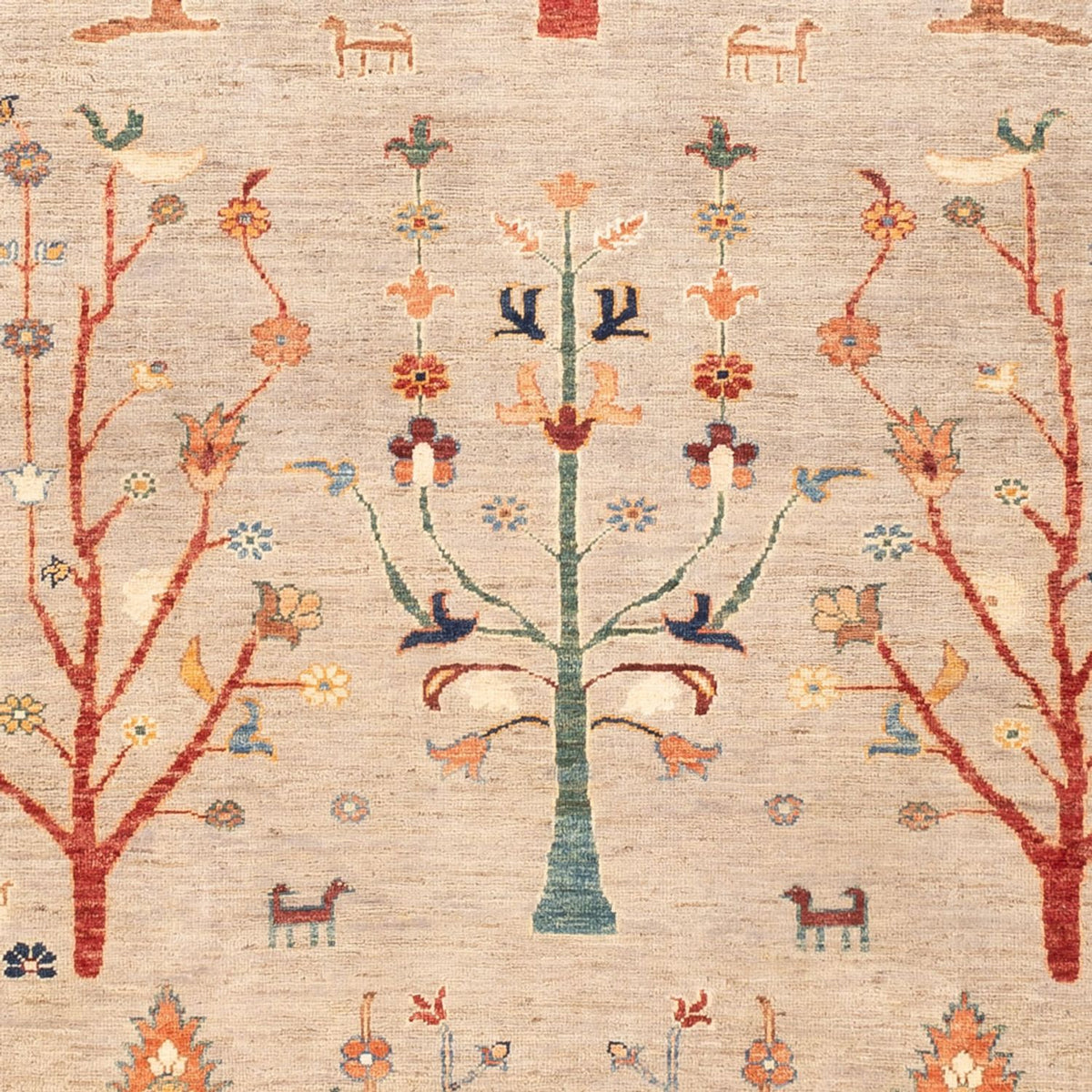 Dywan Ziegler - Ariana - 224 x 173 cm - jasny beż