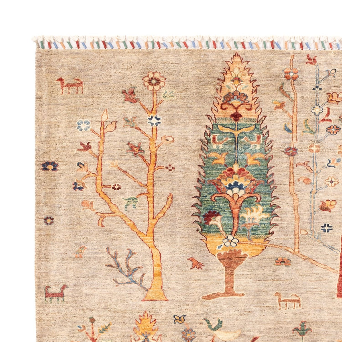 Dywan Ziegler - Ariana - 224 x 173 cm - jasny beż