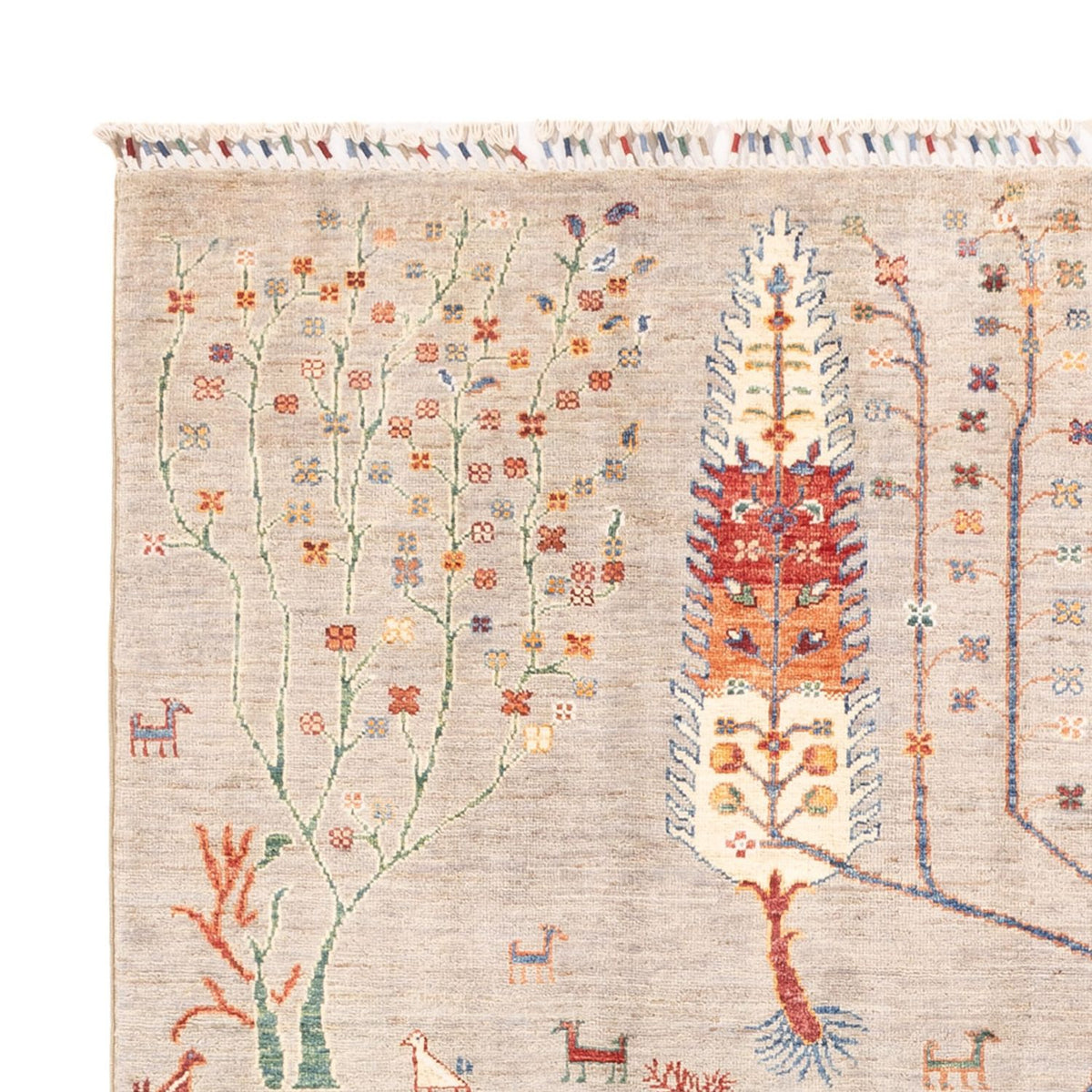 Dywan Ziegler - Ariana - 242 x 173 cm - piaskowy