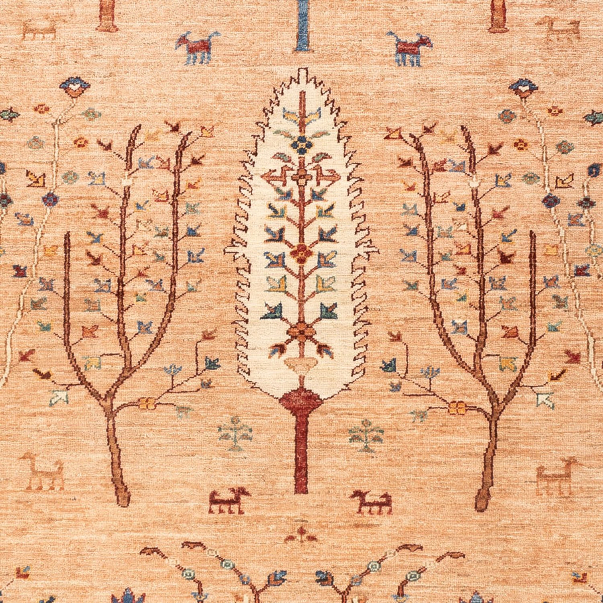 Dywan Ziegler - Ariana - 230 x 177 cm - karmelowy