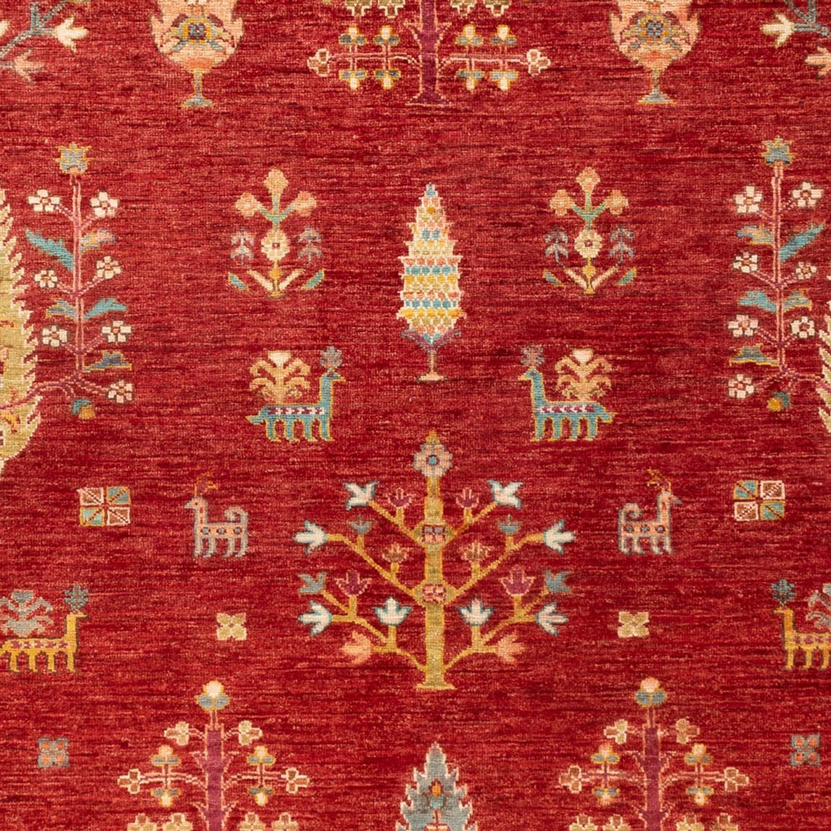 Dywan Ziegler - Ariana - 242 x 168 cm - czerwony