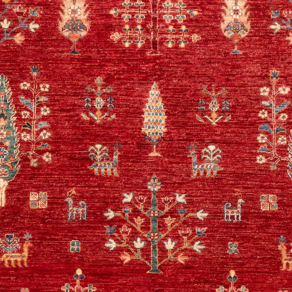 Dywan Ziegler - Ariana - 247 x 170 cm - czerwony