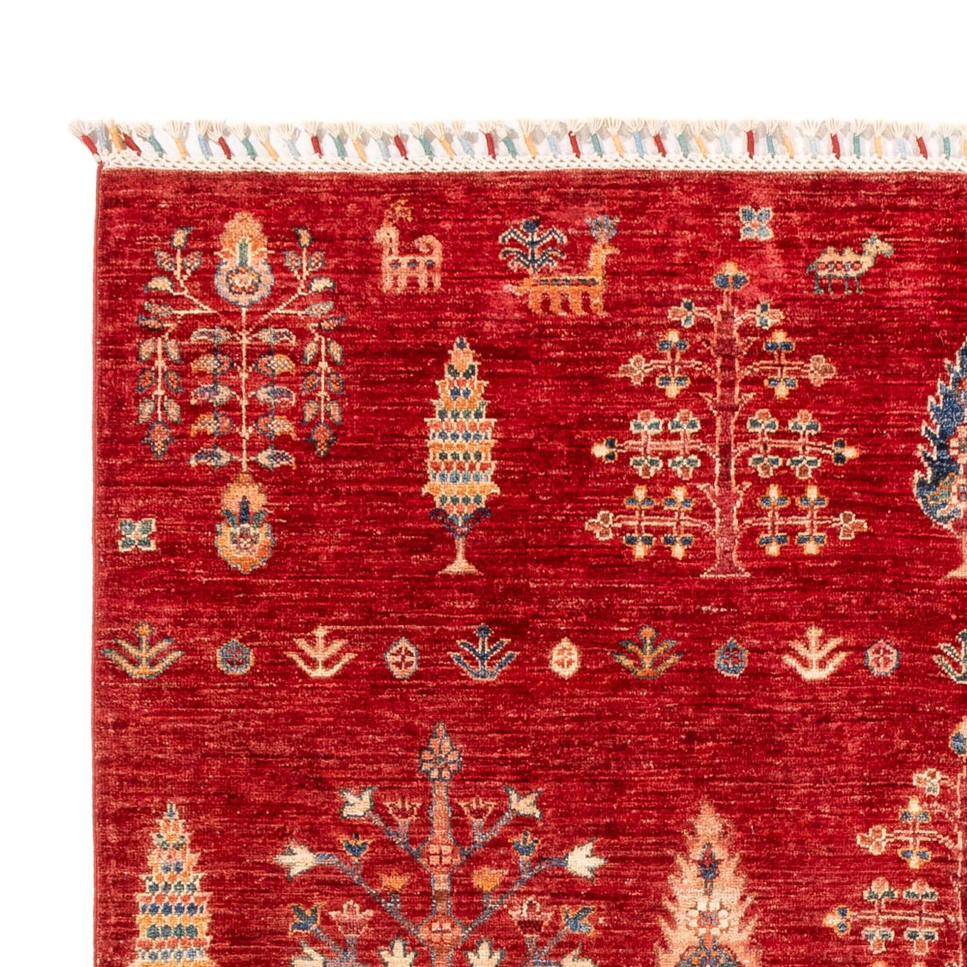 Ariana Dywan 247x170cm - Dywan orientalny