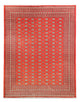 Bukhara Dywan 401x311cm - Dywan orientalny