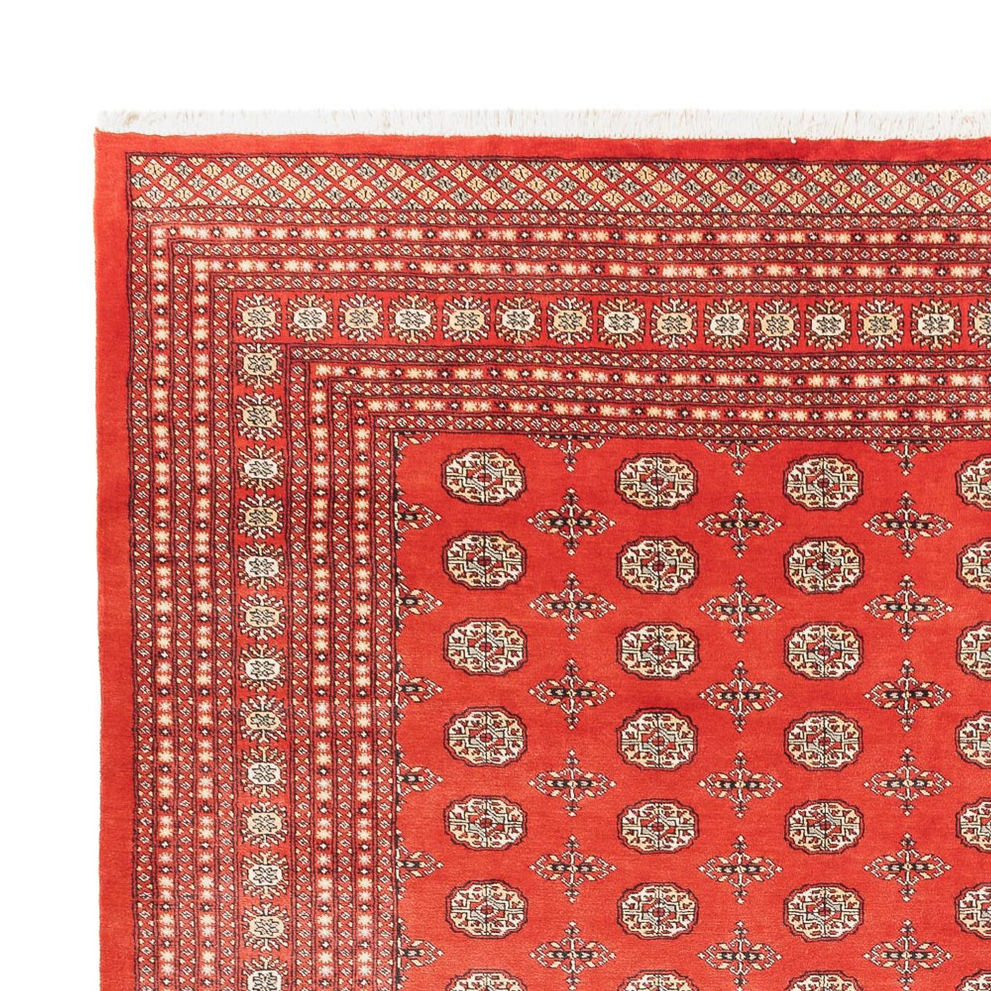 Bukhara Dywan 401x311cm - Dywan orientalny