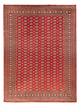 Bukhara Dywan 418x310cm - Dywan orientalny