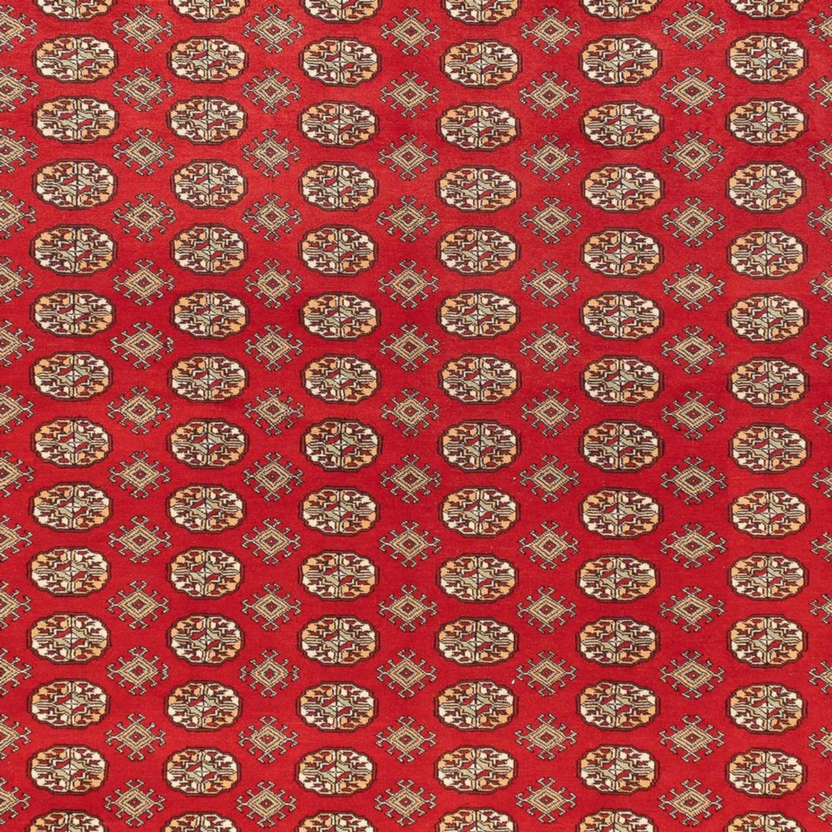 Afgański dywan - Bukhara - 418 x 310 cm - jasna czerwień