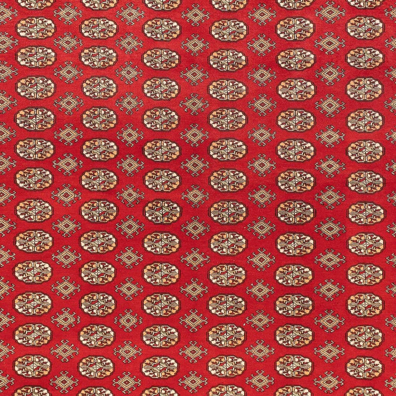 Afgański dywan - Bukhara - 418 x 310 cm - jasna czerwień