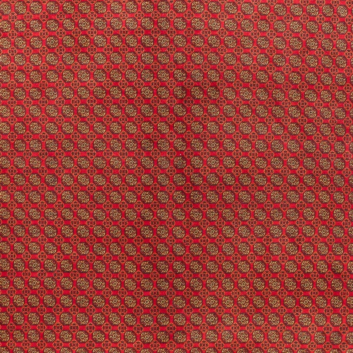 Dywan afgański - Royal - 389 x 295 cm - rdza