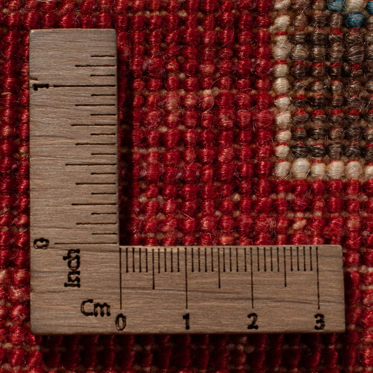 Dywan Ziegler - Modern - 367 x 264 cm - wielokolorowy