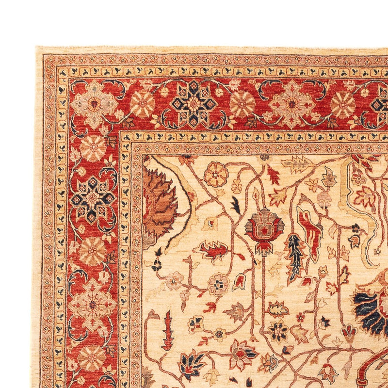 Dywan Zieglera - 365 x 276 cm - beżowy