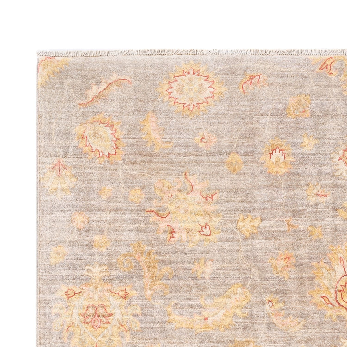 Ariana Dywan 241x169cm - Dywan orientalny