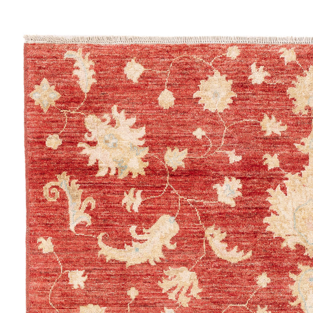 Ziegler nowoczesny Dywan 206x154cm - Dywan orientalny