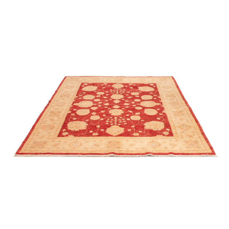 Dywan Zieglera - 210 x 152 cm - czerwony