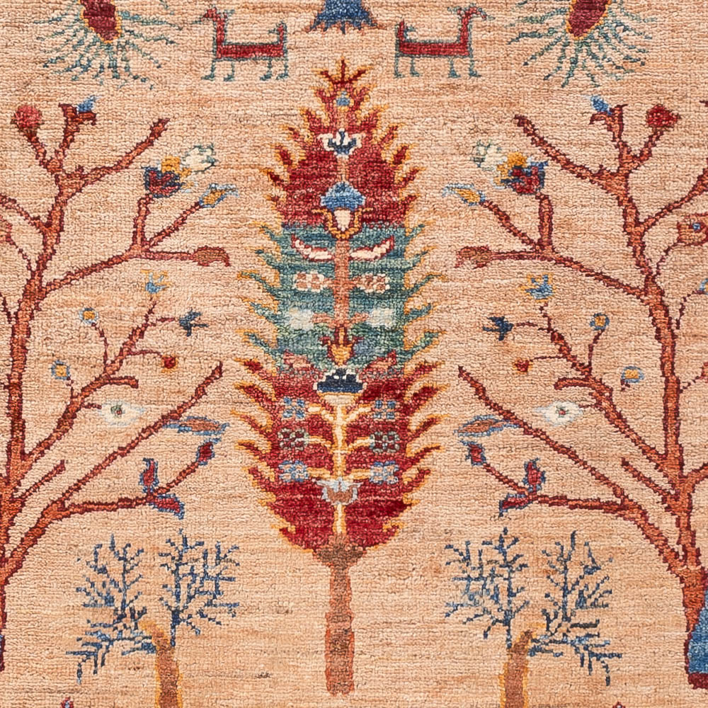 Dywan Ziegler - Ariana - 148 x 99 cm - wielokolorowy