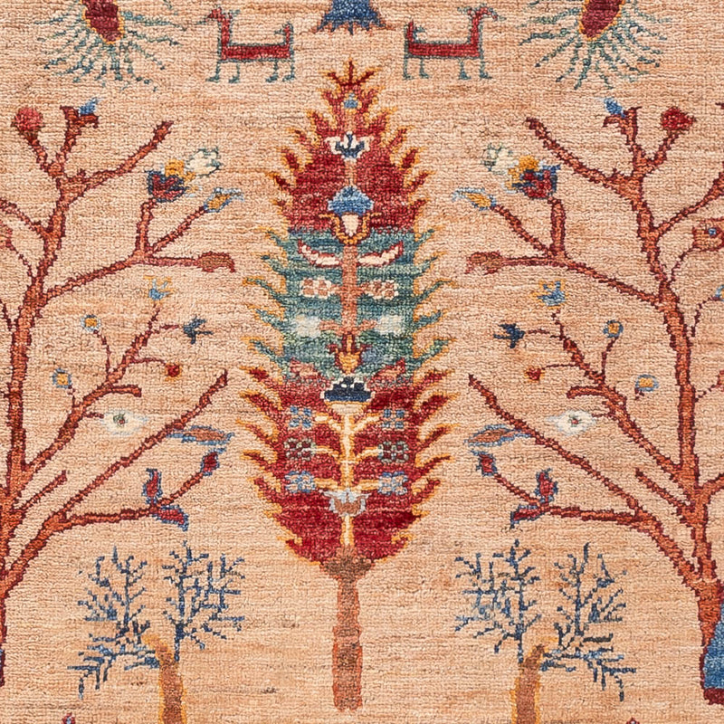 Dywan Ziegler - Ariana - 148 x 99 cm - wielokolorowy