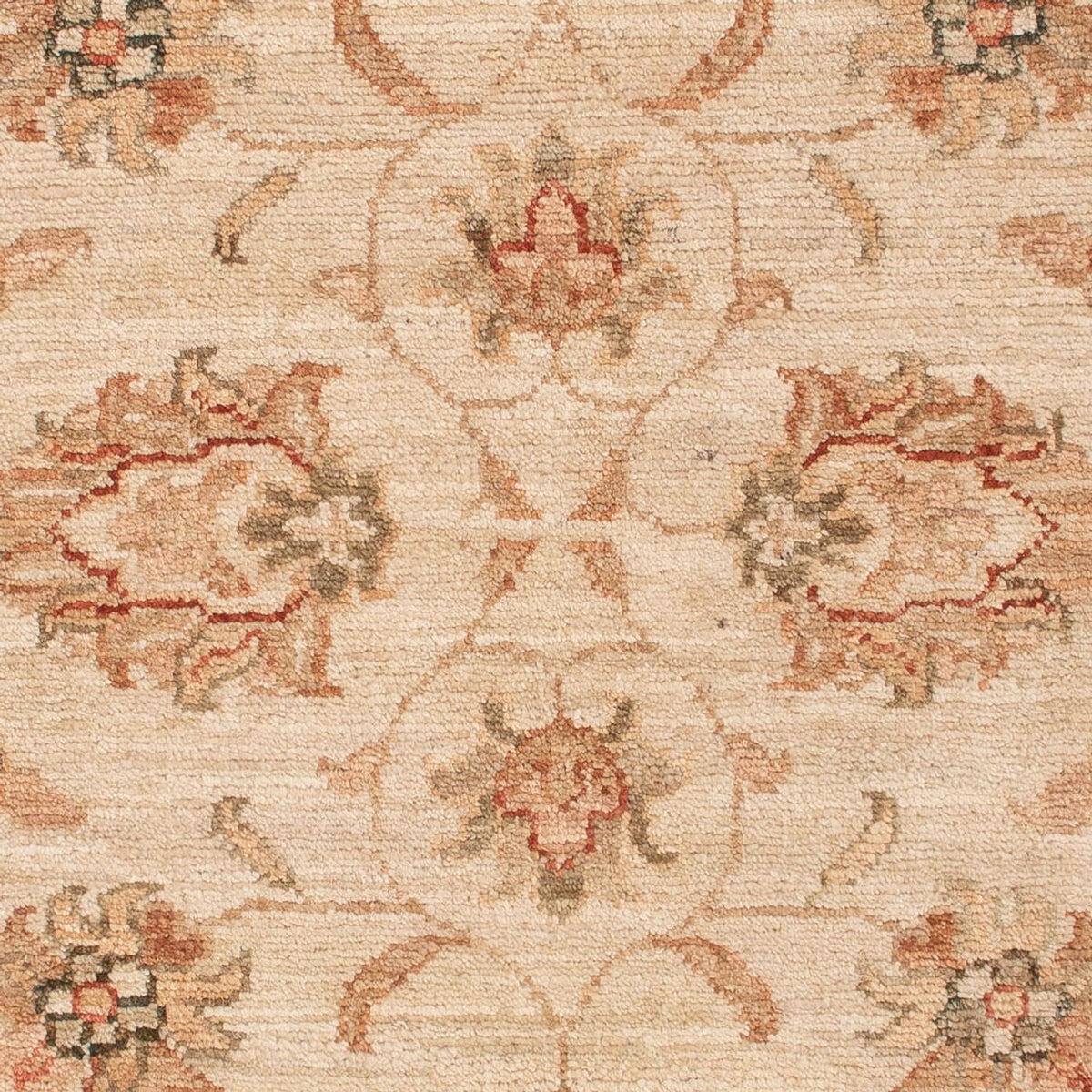 Dywan Zieglera - 118 x 84 cm - beżowy