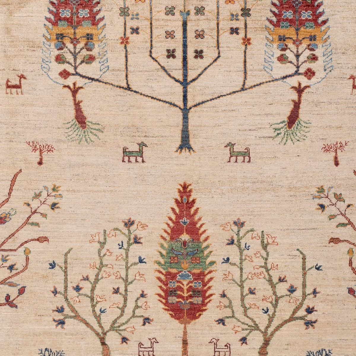 Dywan Ziegler - Ariana - 299 x 209 cm - beżowy