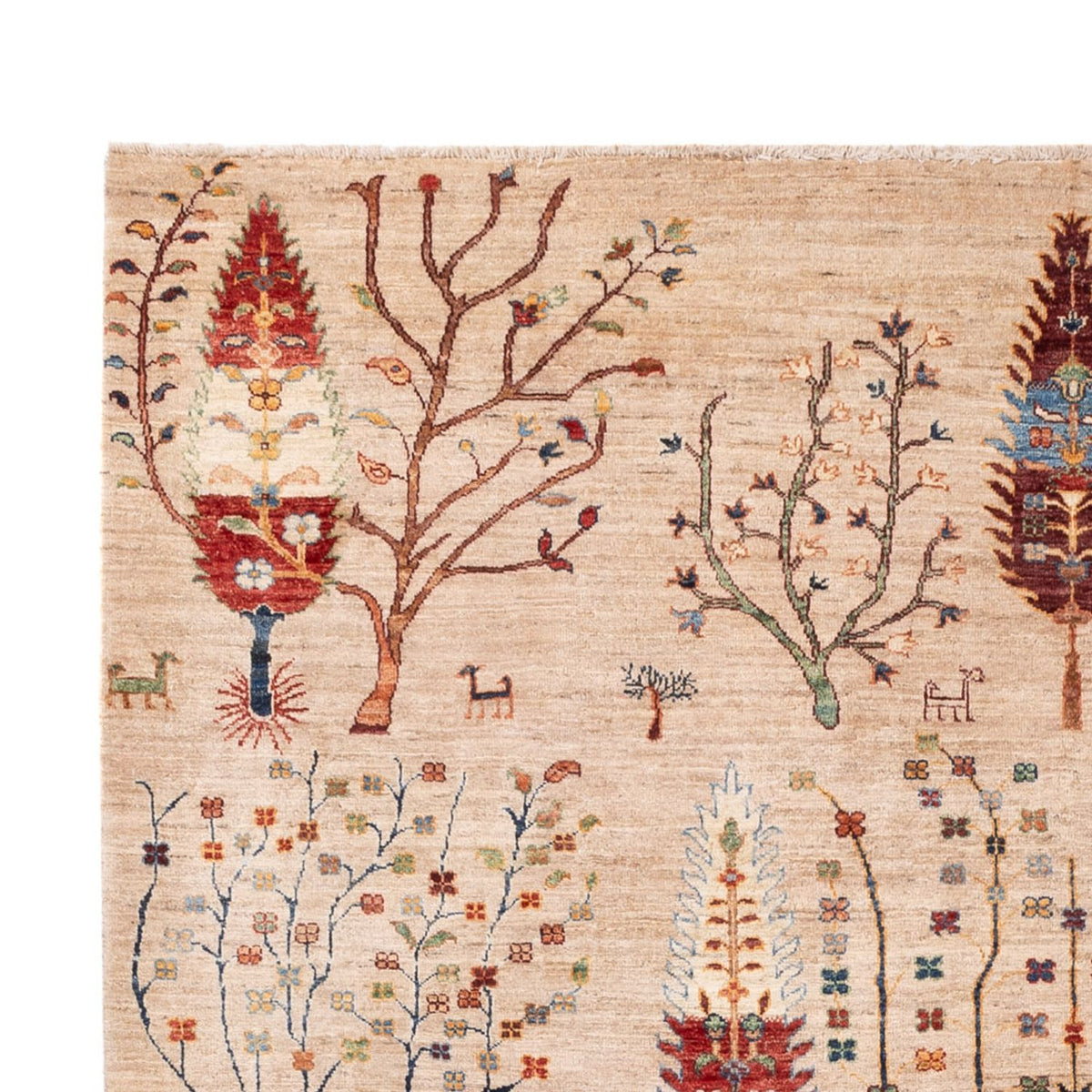 Dywan Ziegler - Ariana - 312 x 212 cm - beżowy