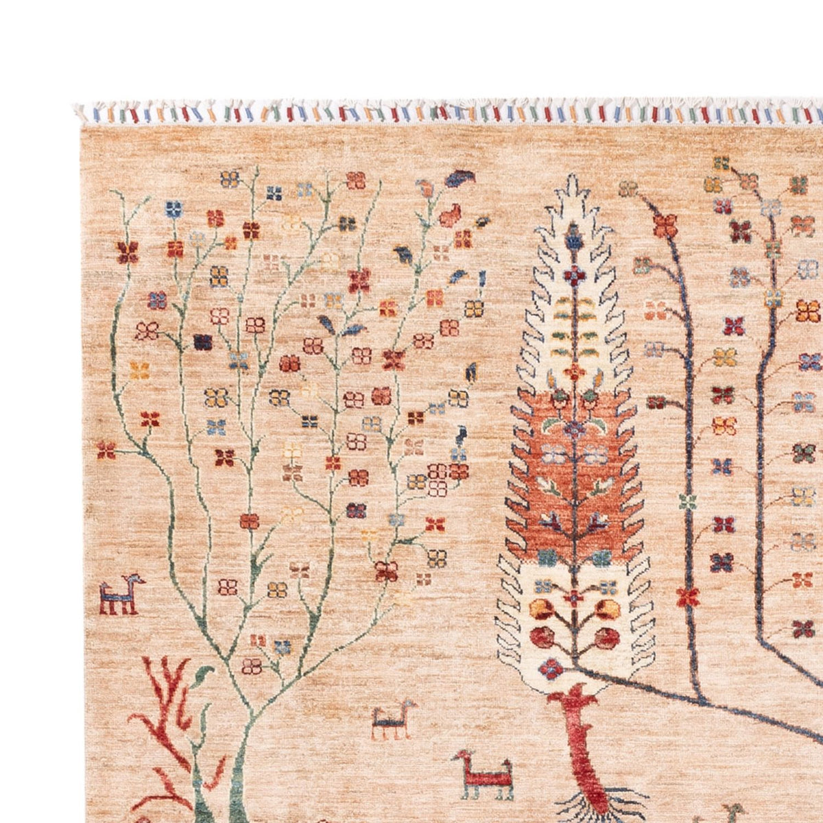 Dywan Ziegler - Ariana - 295 x 204 cm - beżowy