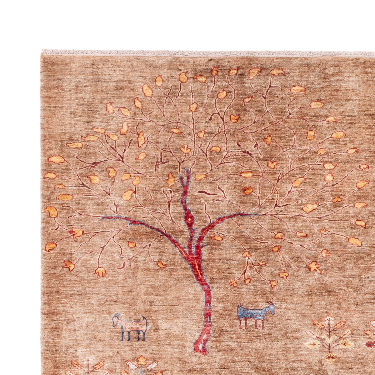 Dywan Ziegler - Ariana - 291 x 210 cm - jasnobrązowy