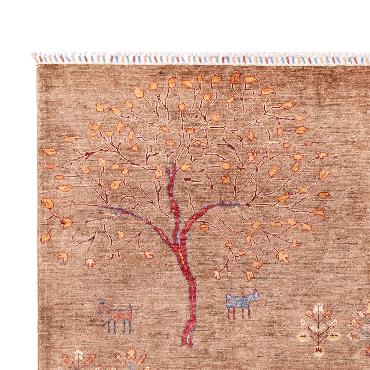 Dywan Ziegler - Ariana - 298 x 206 cm - ciemny beż