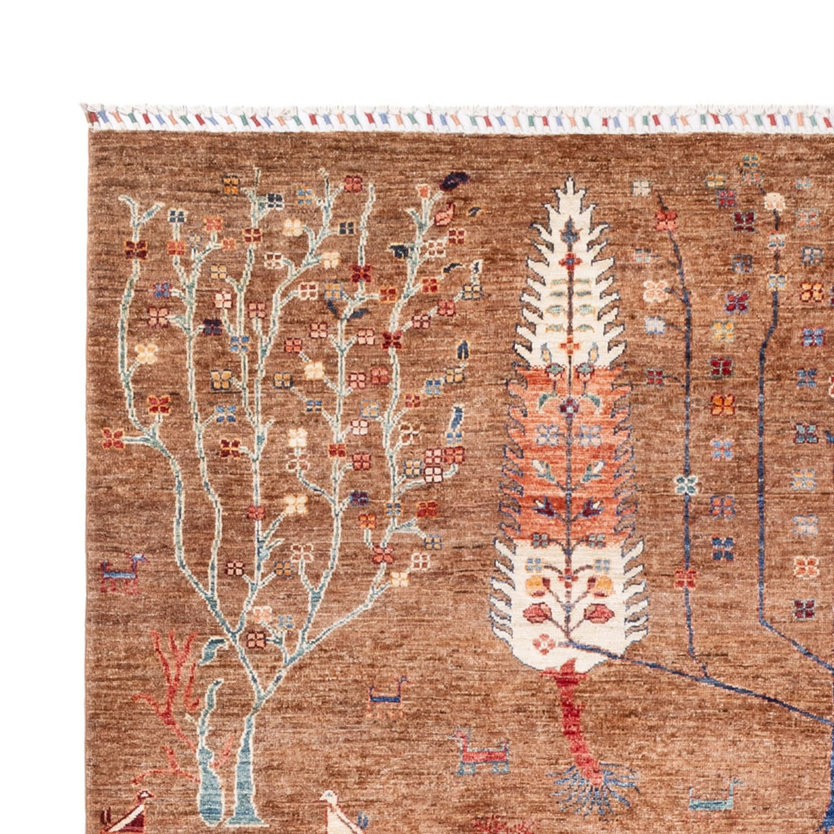 Dywan Ziegler - Ariana - 293 x 205 cm - ciemny beż