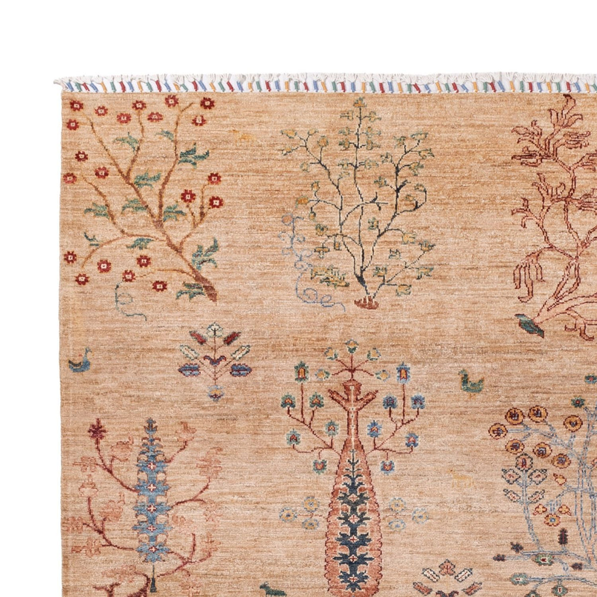 Dywan Ziegler - Ariana - 293 x 205 cm - ciemny beż