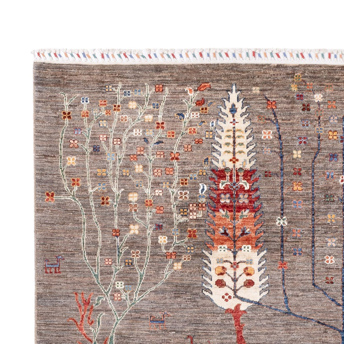 Dywan Ziegler - Ariana - 298 x 200 cm - ciemny beż