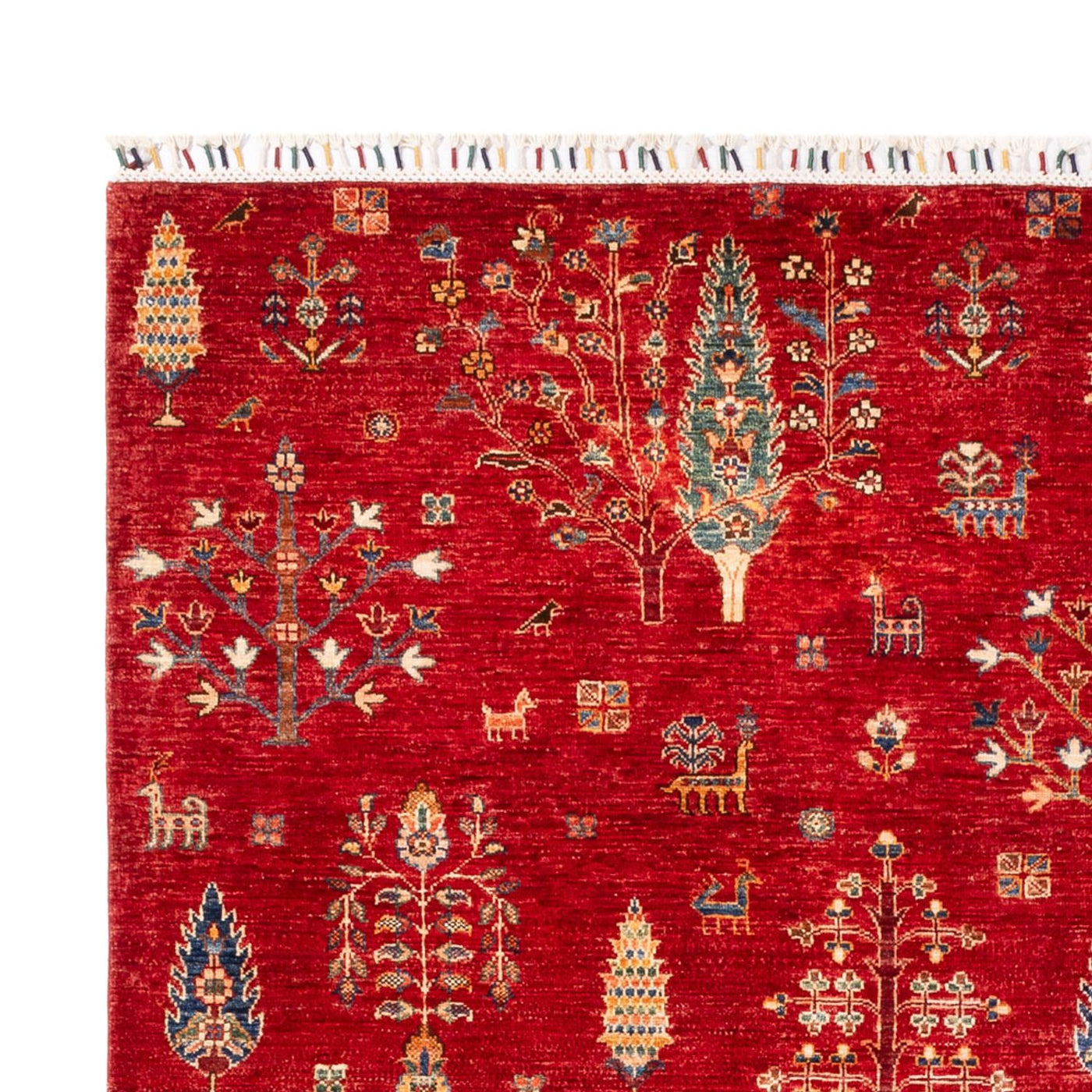 Ariana Dywan 300x206cm - Dywan orientalny