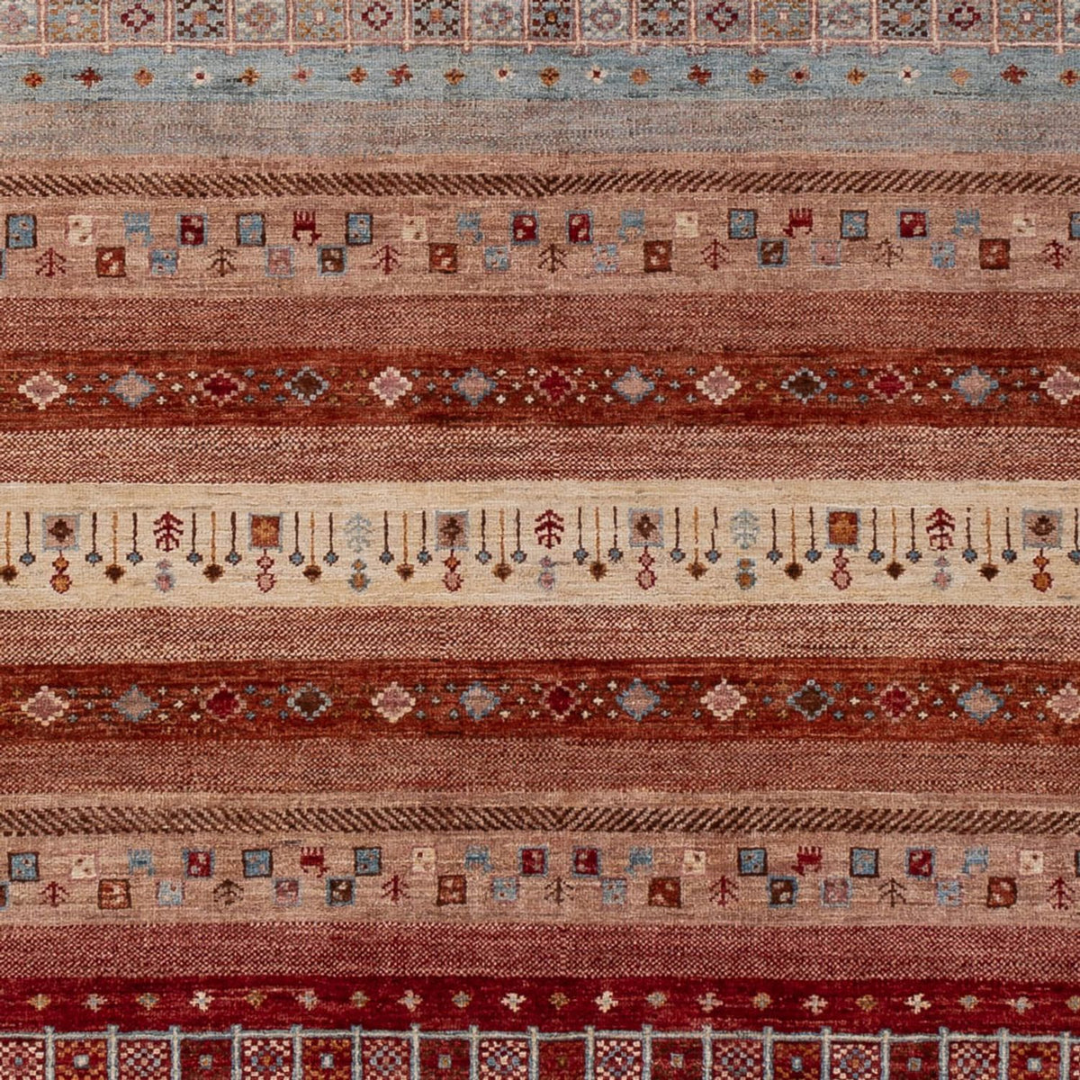 Dywan Ziegler - Ariana - 299 x 209 cm - wielokolorowy