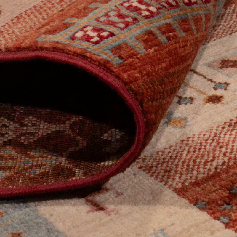 Dywan Ziegler - Ariana - 299 x 209 cm - wielokolorowy