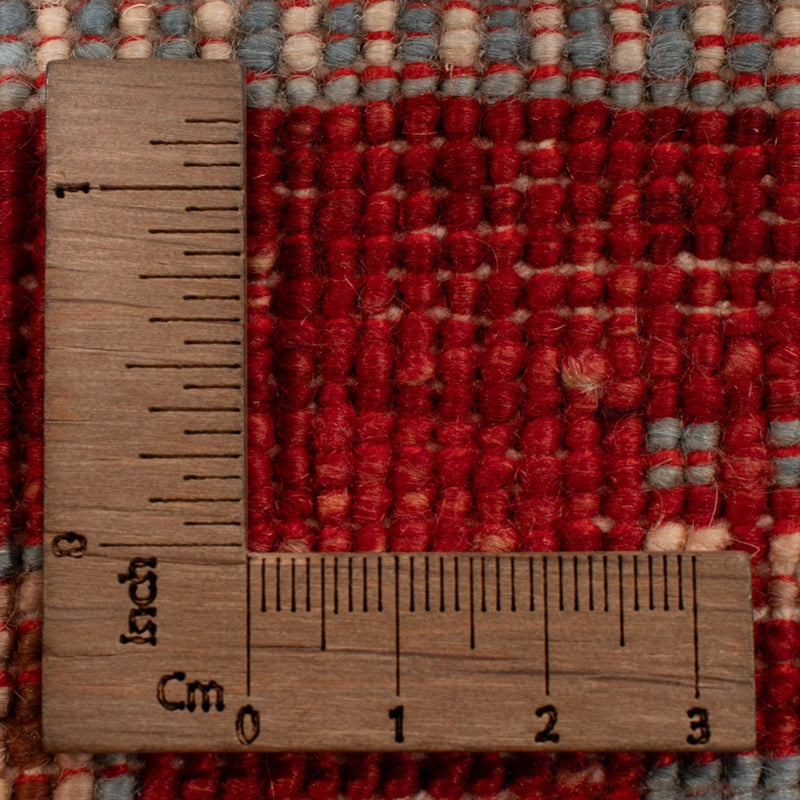 Dywan Ziegler - Ariana - 299 x 209 cm - wielokolorowy