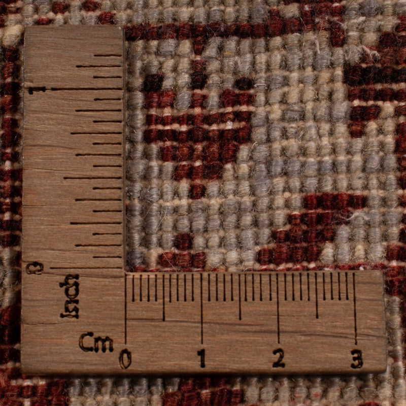 Dywan Ziegler - Ariana - 299 x 206 cm - wielokolorowy