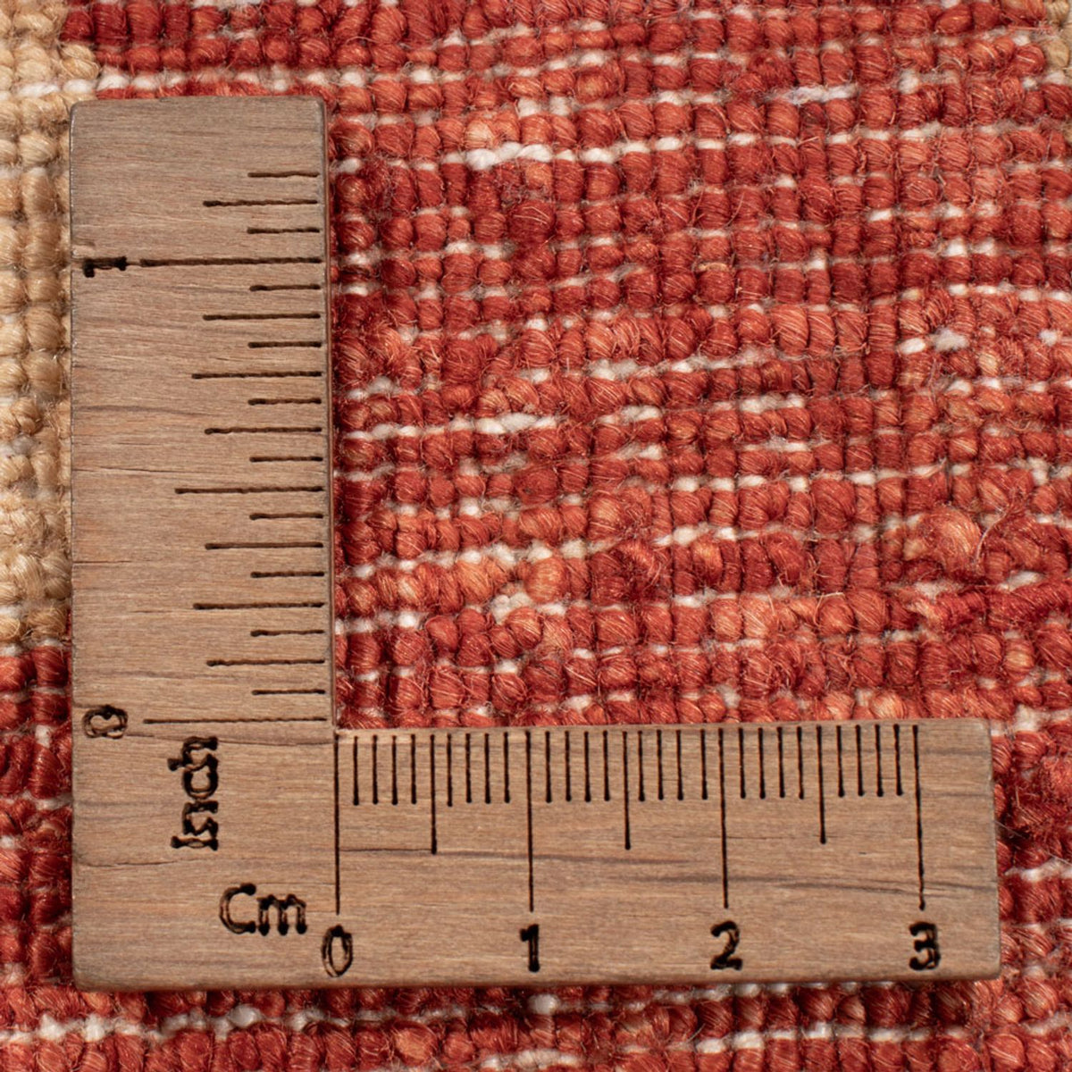 Dywan Ziegler - Ariana - 319 x 212 cm - beżowy