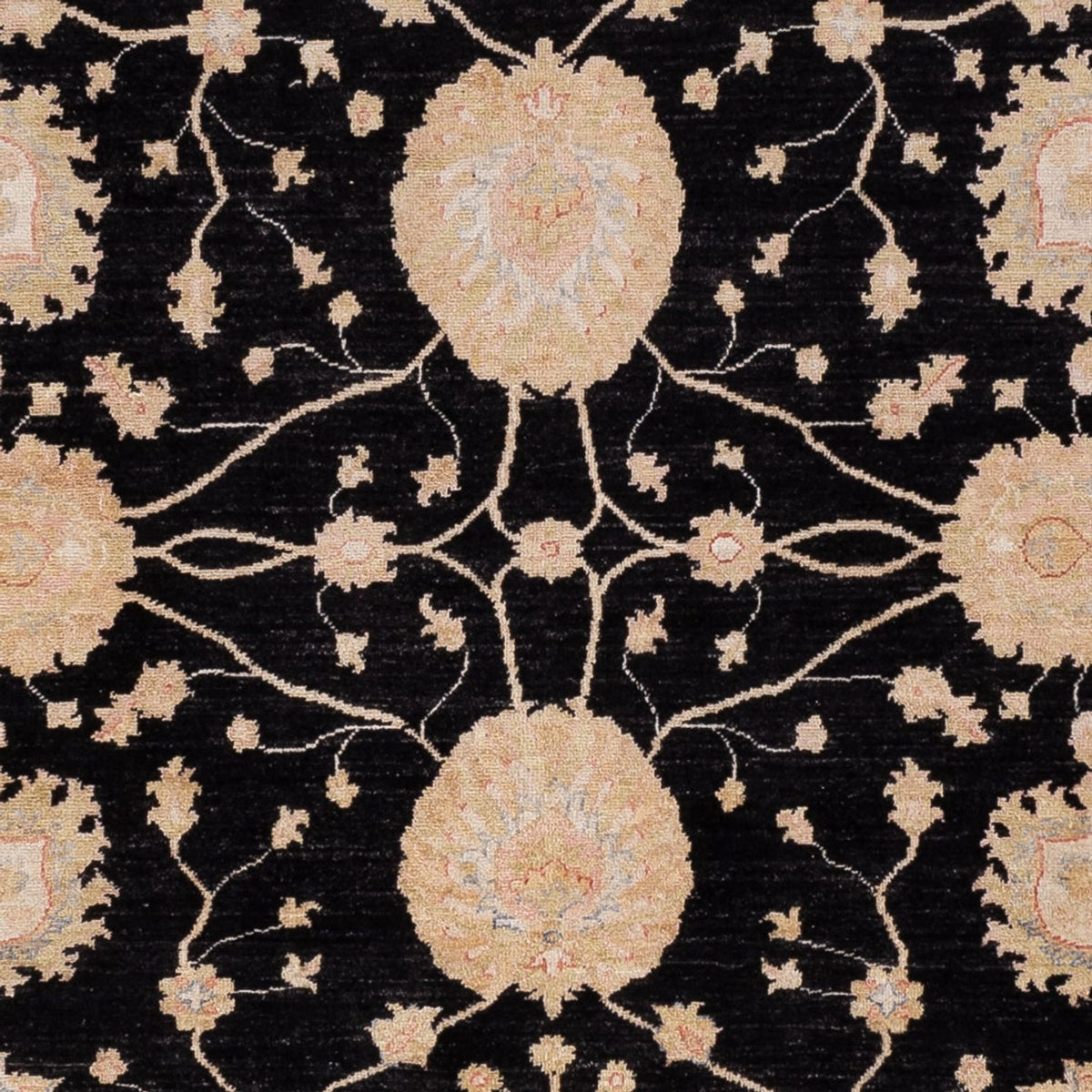 Dywan Zieglera - 300 x 252 cm - czarny