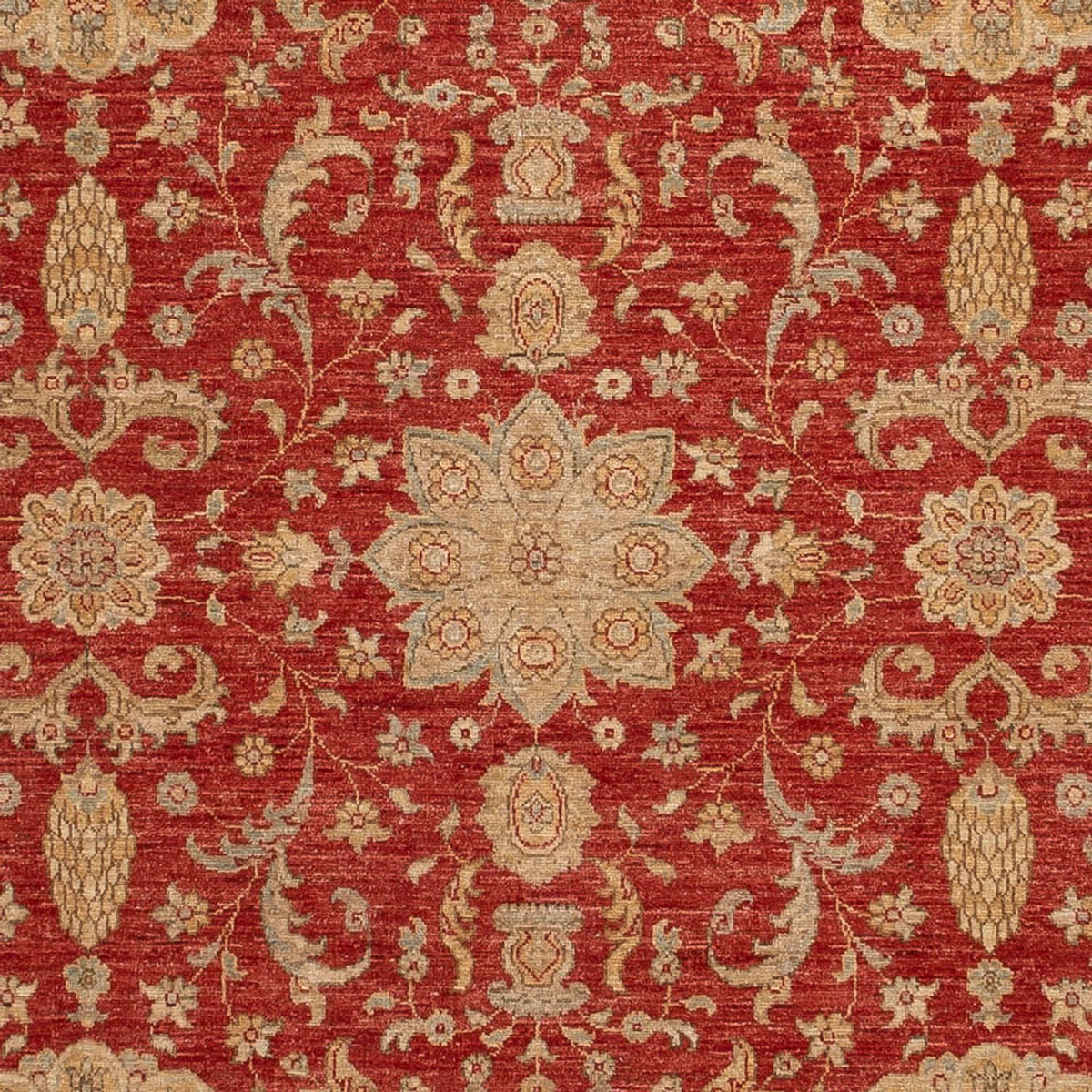 Dywan Ziegler - Ariana - 304 x 245 cm - czerwony