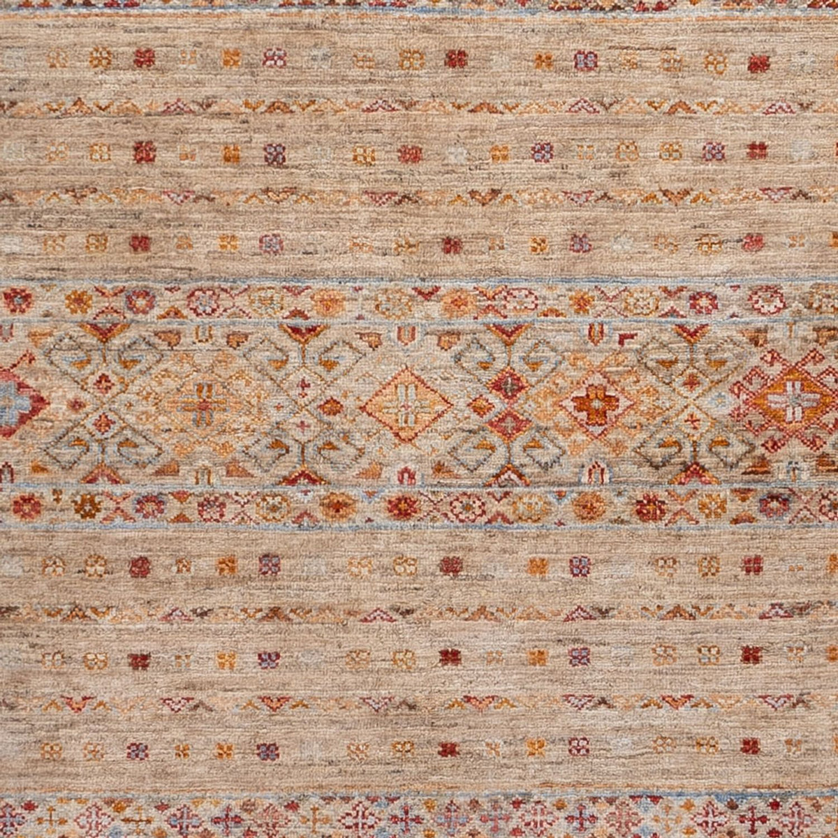 Dywan Ziegler - Shal - 237 x 174 cm - beżowy