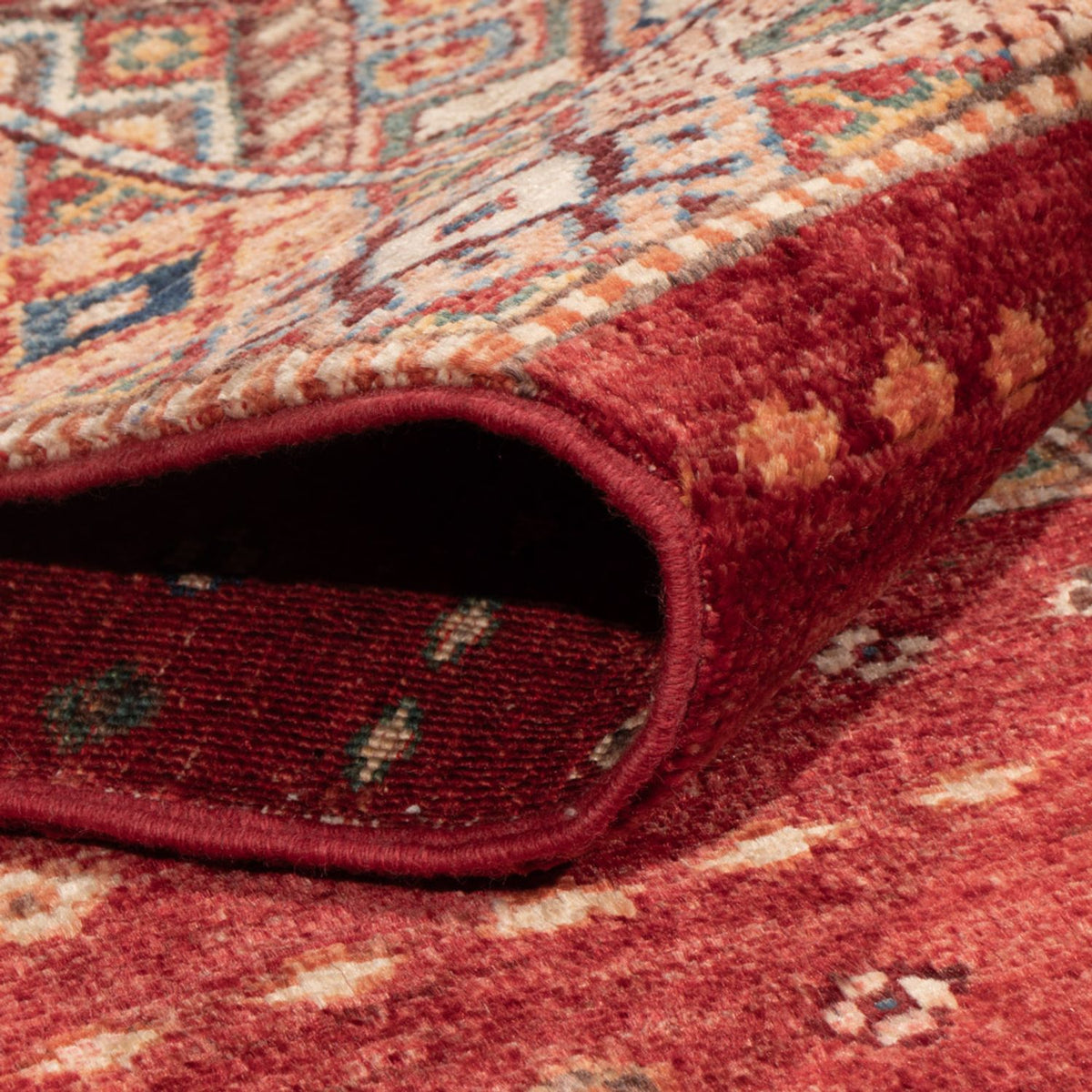 Dywan Ziegler - Ariana - 240 x 176 cm - wielokolorowy