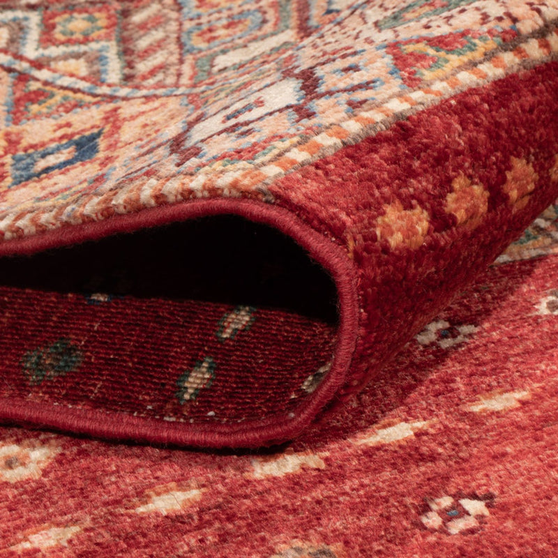 Dywan Ziegler - Ariana - 240 x 176 cm - wielokolorowy