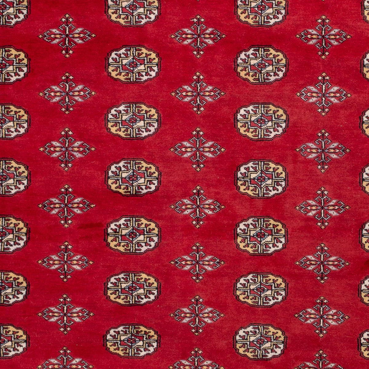 Afgański dywan - Bukhara - 292 x 206 cm - czerwony