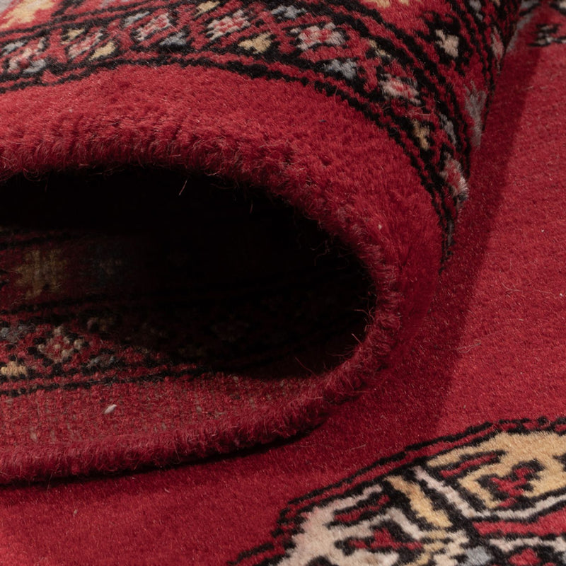 Afgański dywan - Bukhara - 292 x 206 cm - czerwony