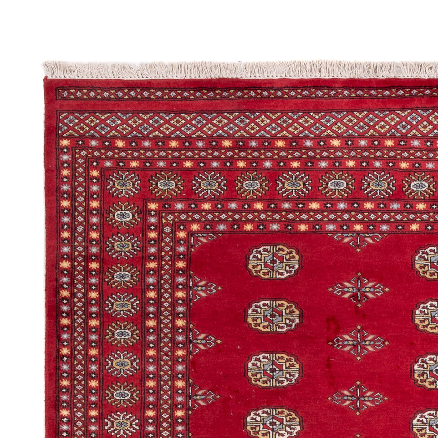 Bukhara Dywan 307x201cm - Dywan orientalny