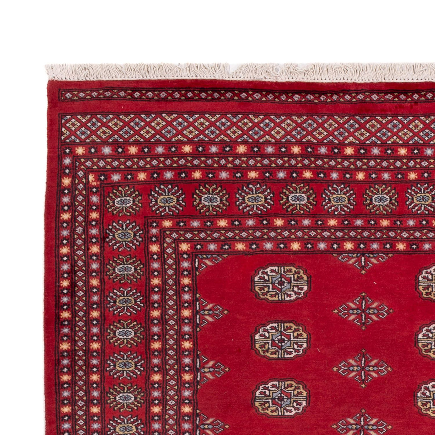 Bukhara Dywan 300x201cm - Dywan orientalny
