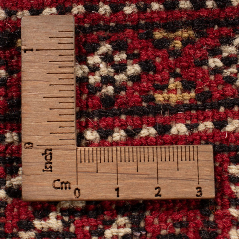 Afgański dywan - Bukhara - 313 x 207 cm - czerwony